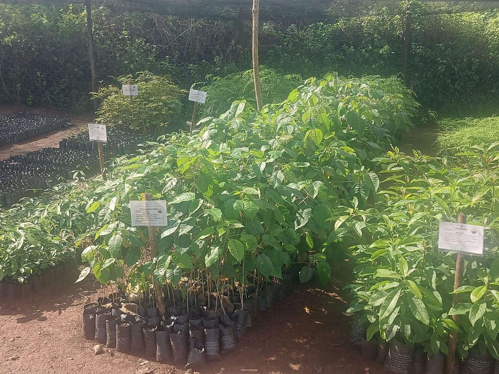 Community conservation efforts